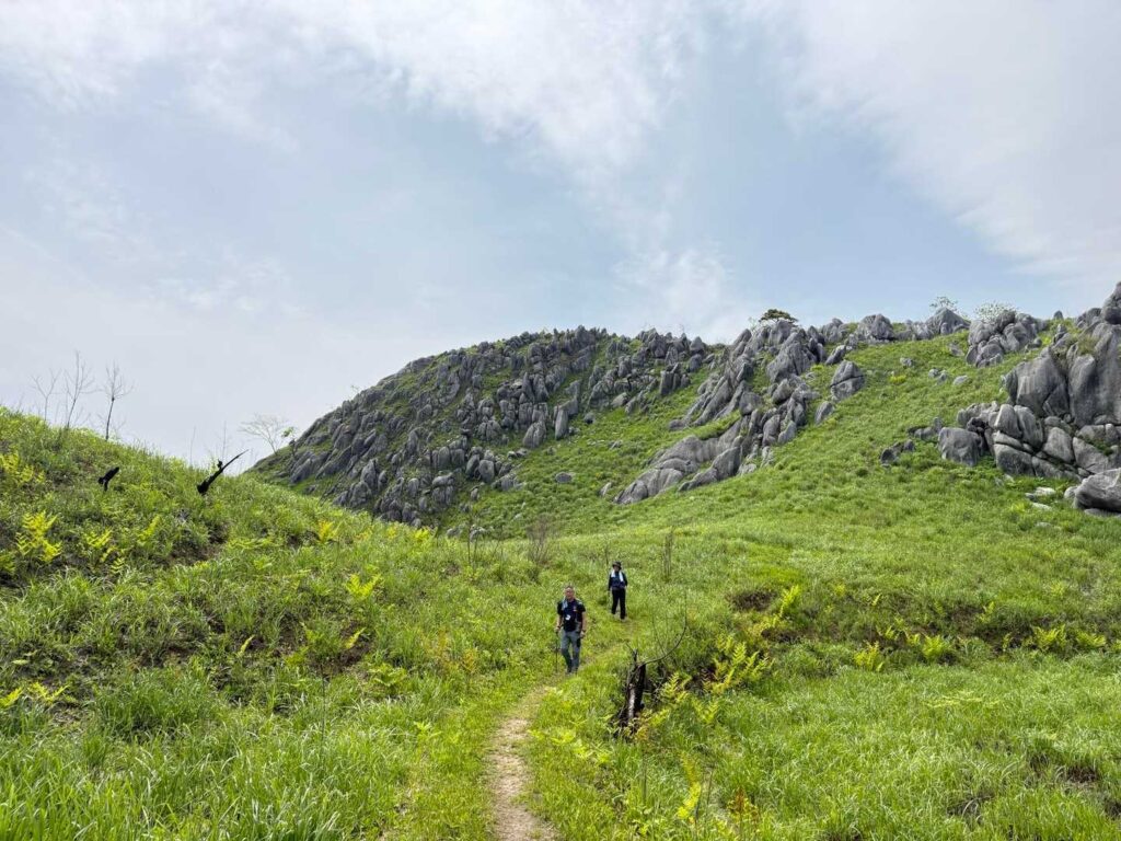 平尾台らしいカルスト台地の風景