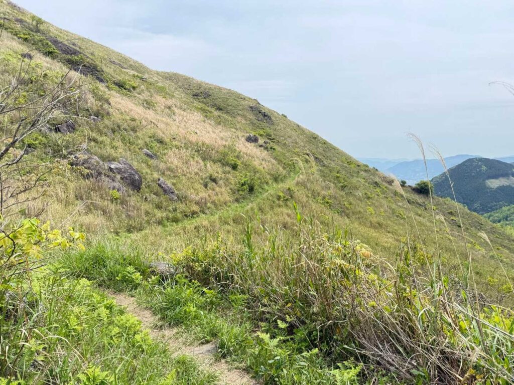 草原を回り込んで進む
