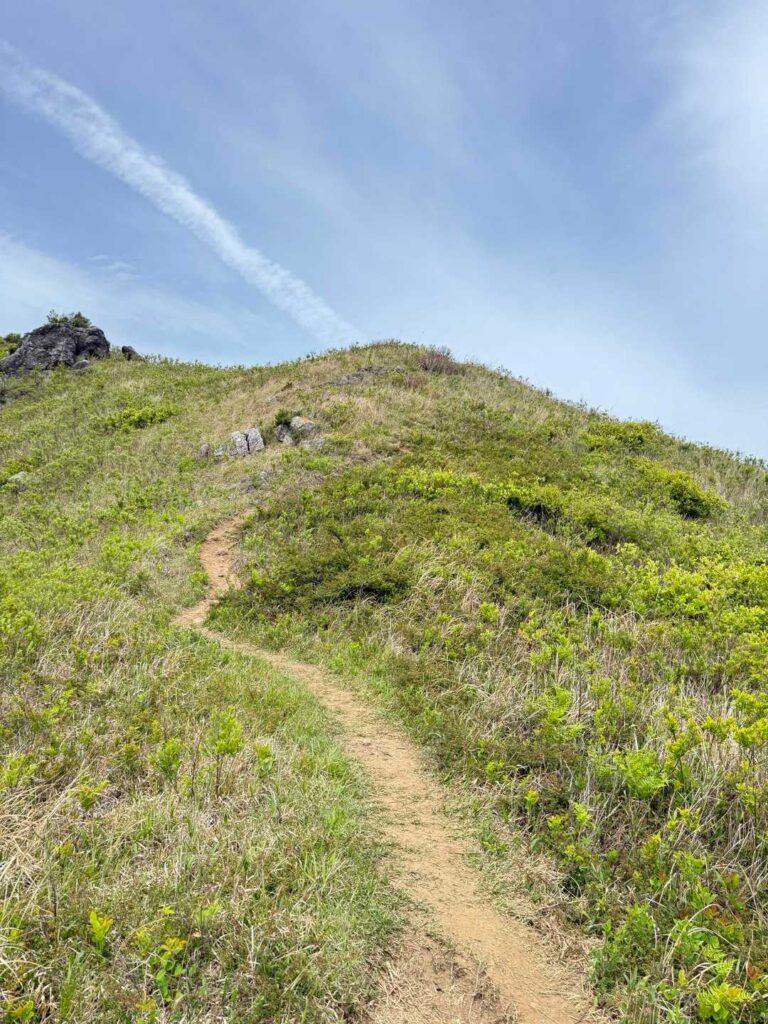 少し登っていく