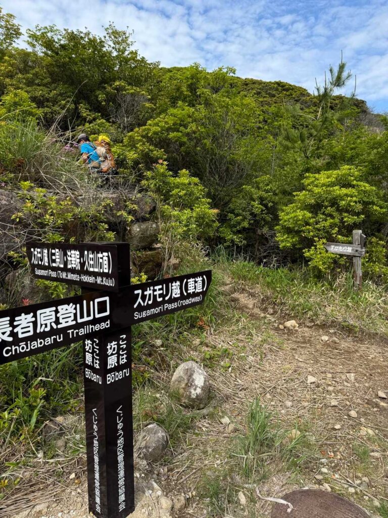 直ぐに開けてきて