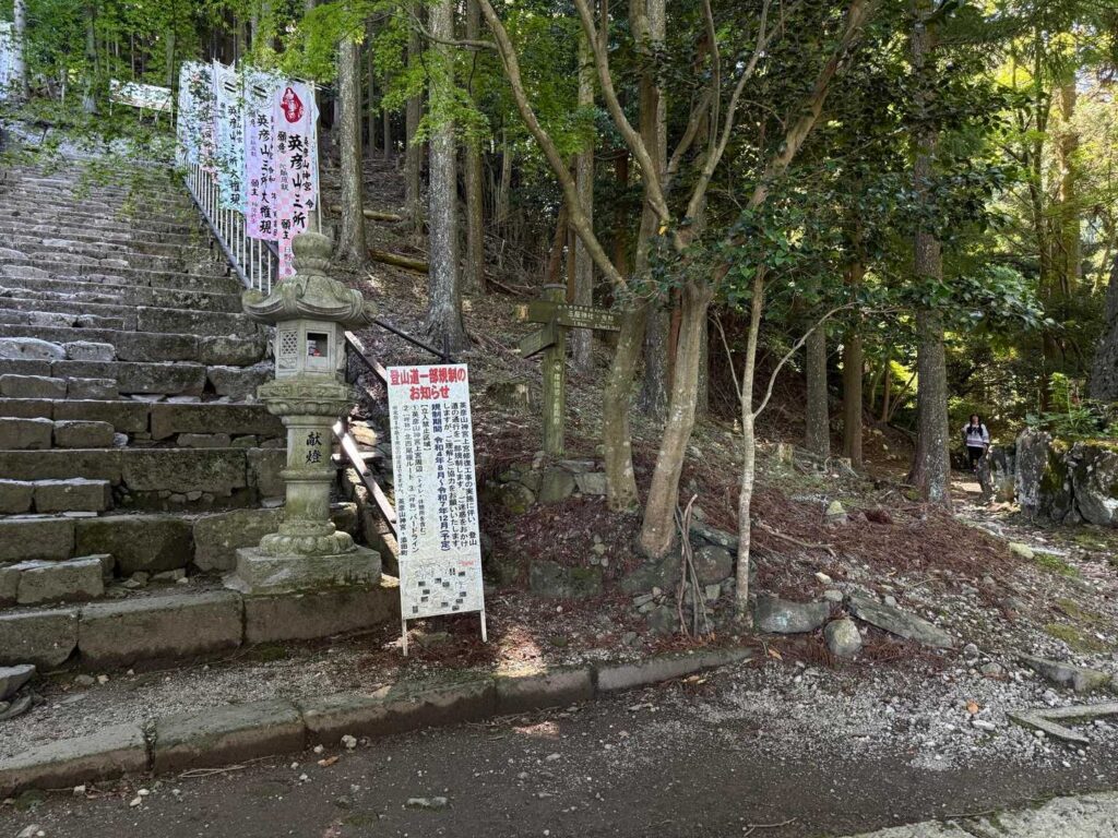 分岐を右に進む