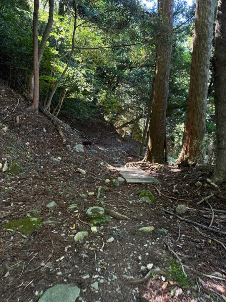 やっと登山道らしくなってきた