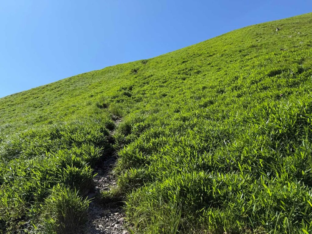 下りはさらに激下り