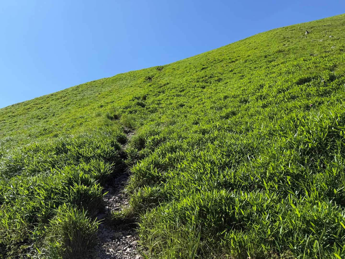 下りはさらに激下り💦
