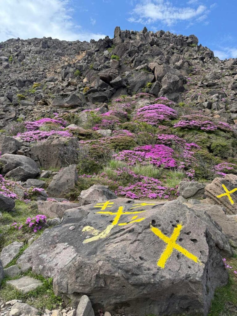 ❌マークと一緒に