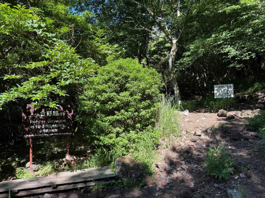 九十九折りの登山道