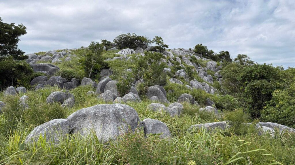 無数の石灰岩が斜面に密集するカルスト地形