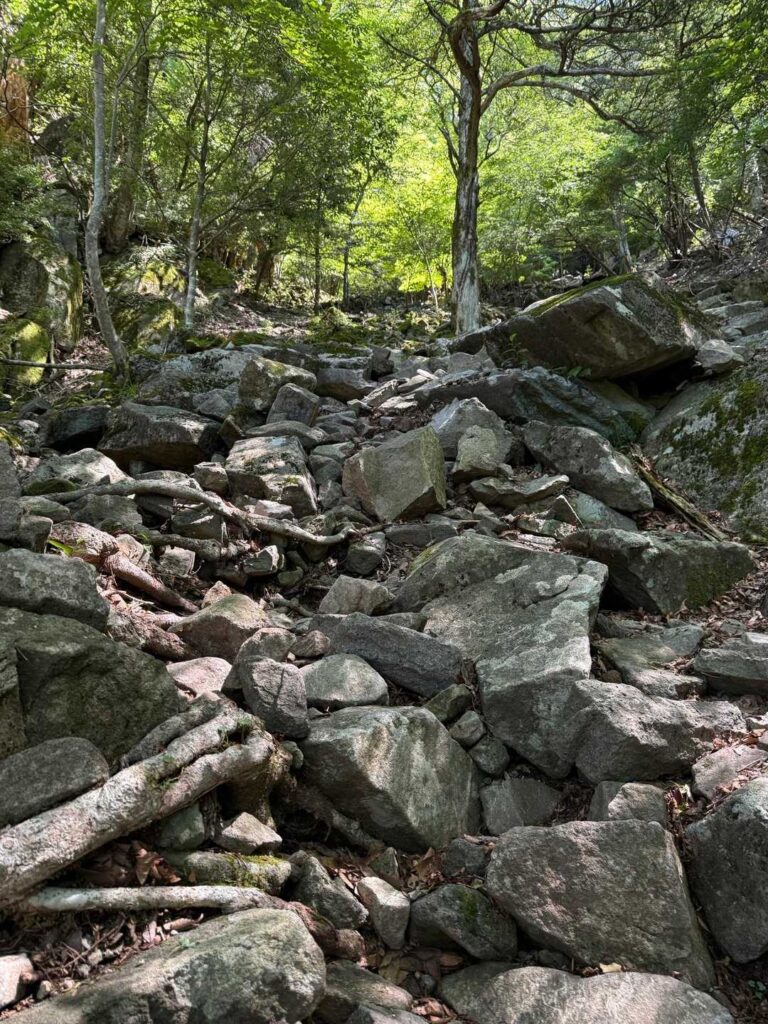 道がよくわからない…なーんとなく進む