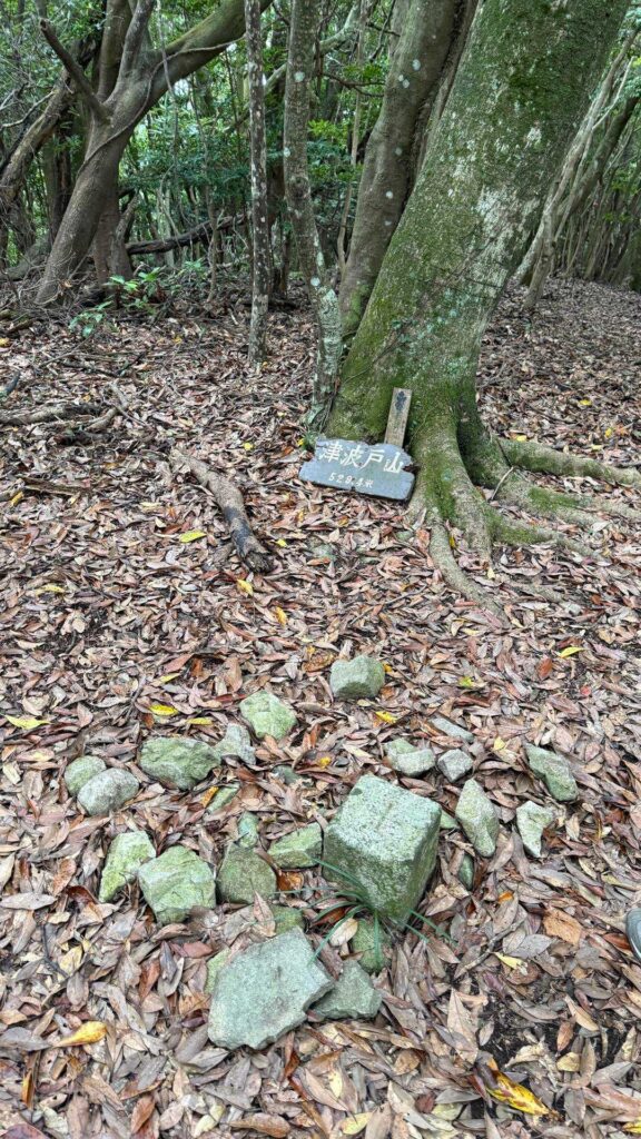 木の根元の石碑