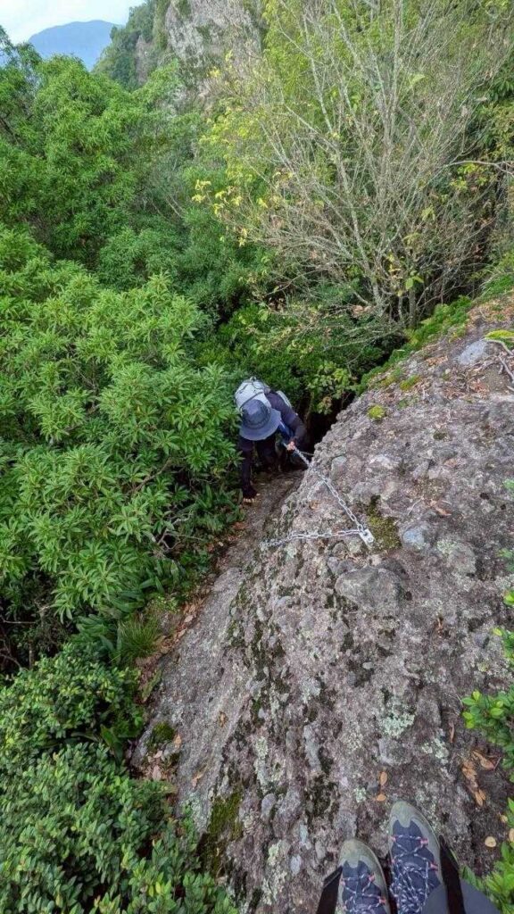 上から見下ろす。なかなかの高度感