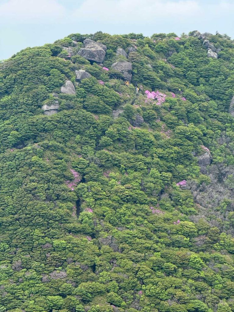 お鉢周りの急下降