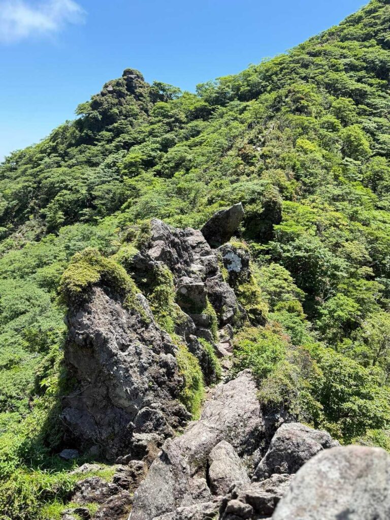 ここで足が攣った