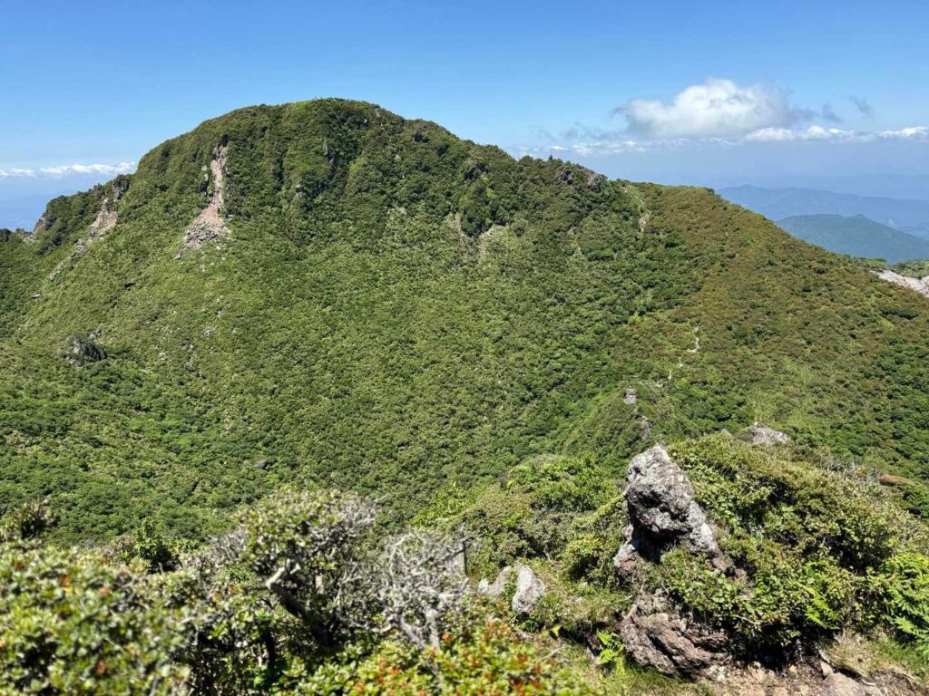 振り返るとよく歩いた