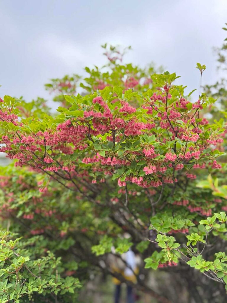 北峰からの景色
