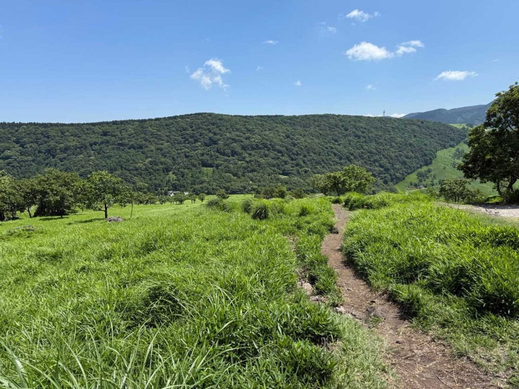 帰ってきました激アツ