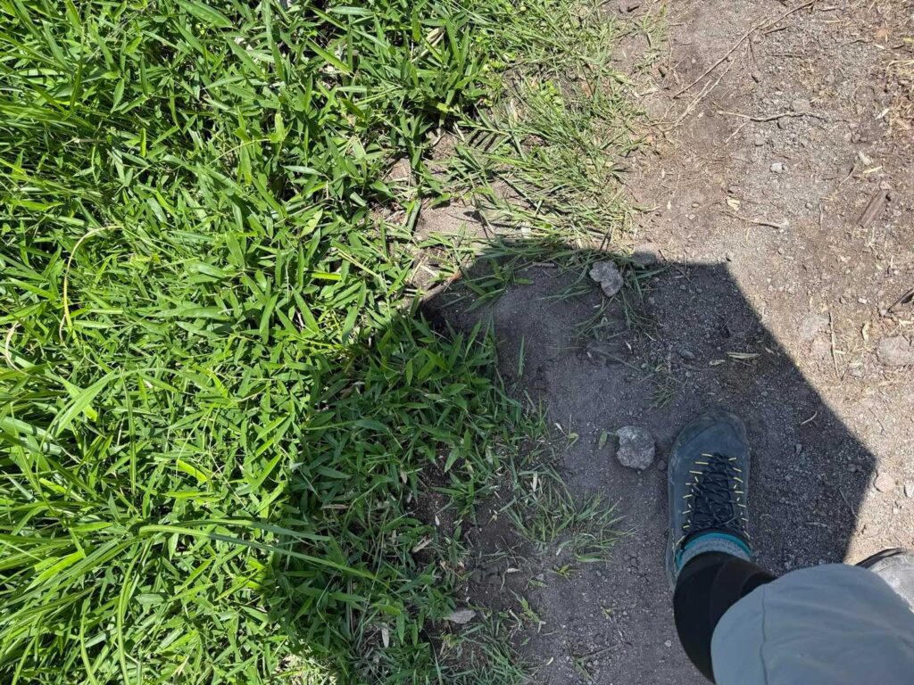 日傘で暑さ対策