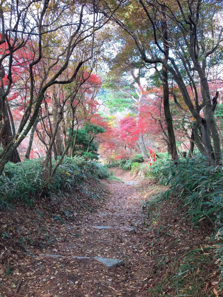 後鉢巻山付近の縦走路