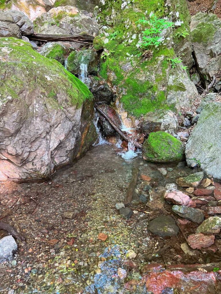 透き通った沢の水