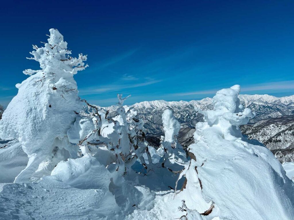 リトルモンスターたち