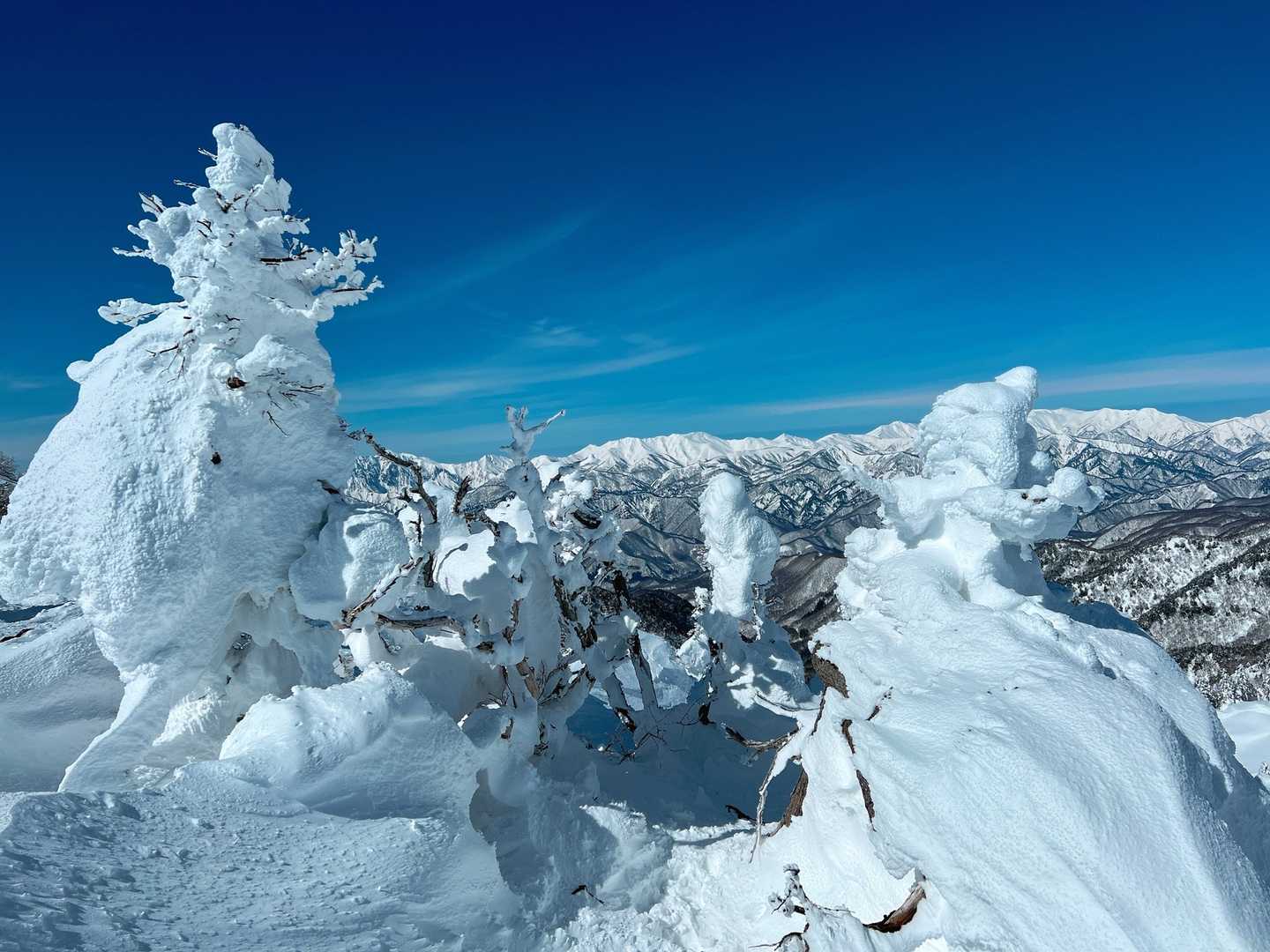 リトルモンスター達👾笑