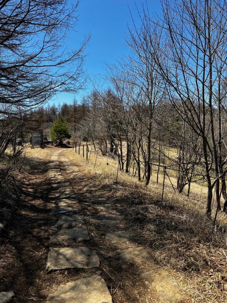 そして 暫く歩くと