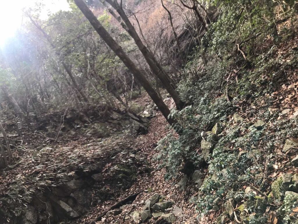 更に奥に進んでいきます