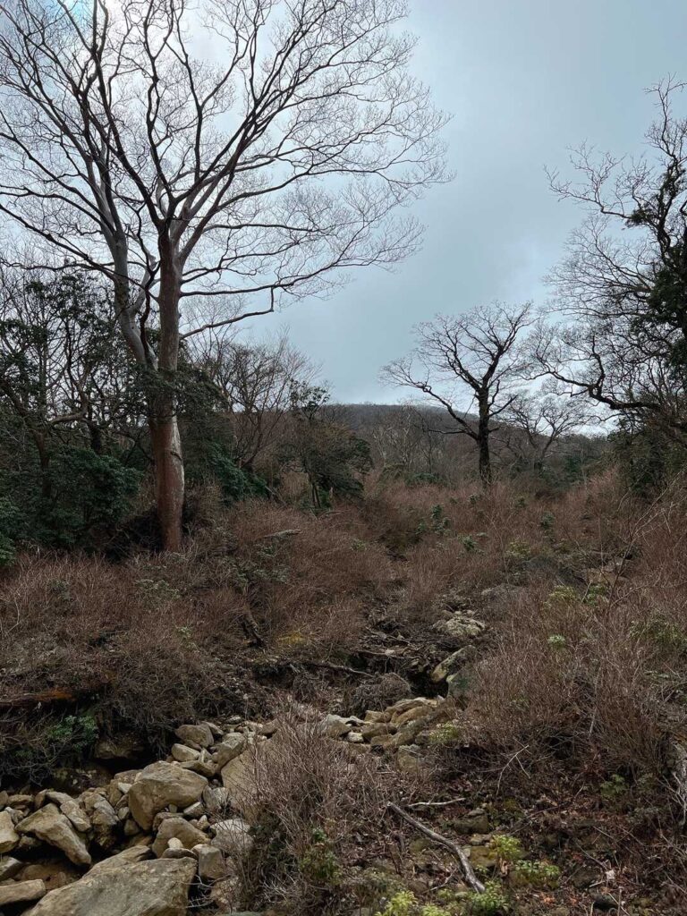 ガスの中の登山道