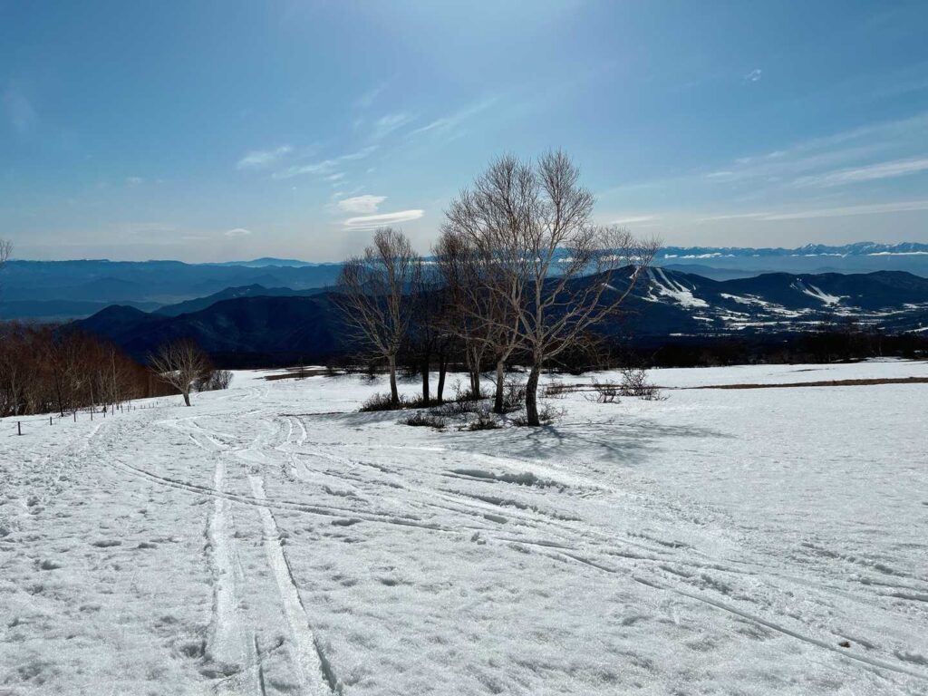 下山。雪原の中をのんびり歩く