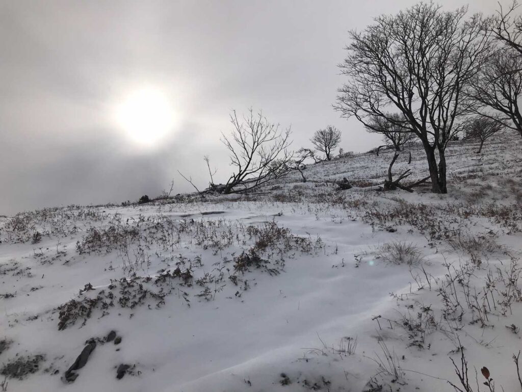 太陽もお出迎え