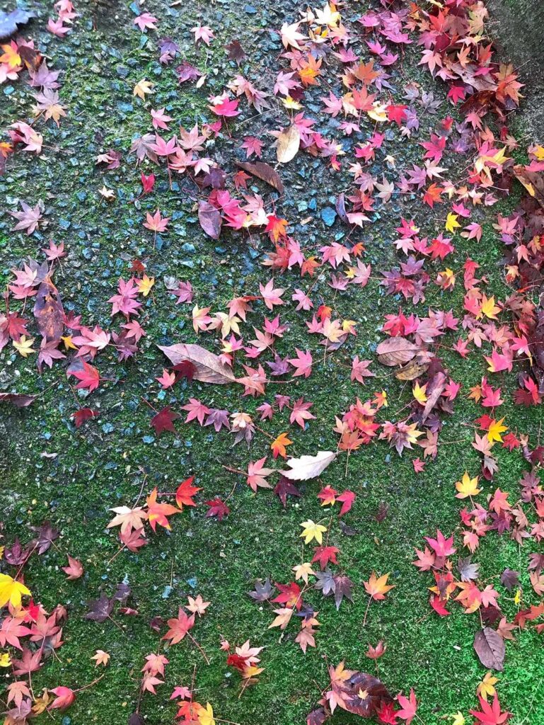 有馬温泉の路地