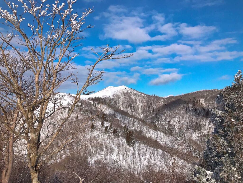 また来るよ、武奈ヶ岳