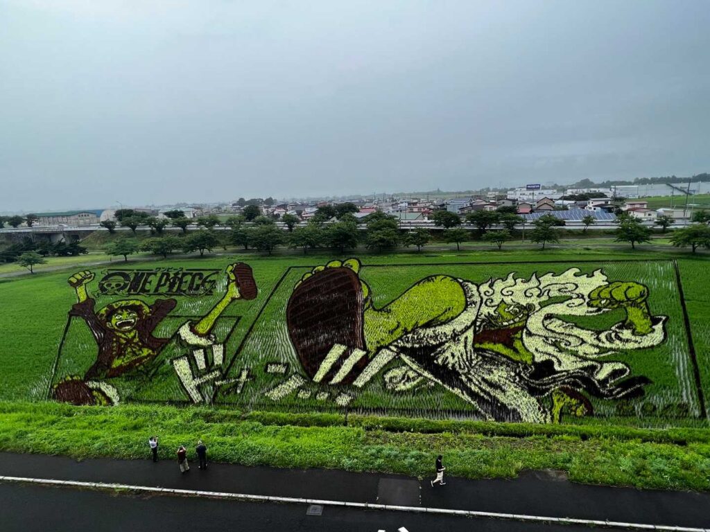 田んぼアート