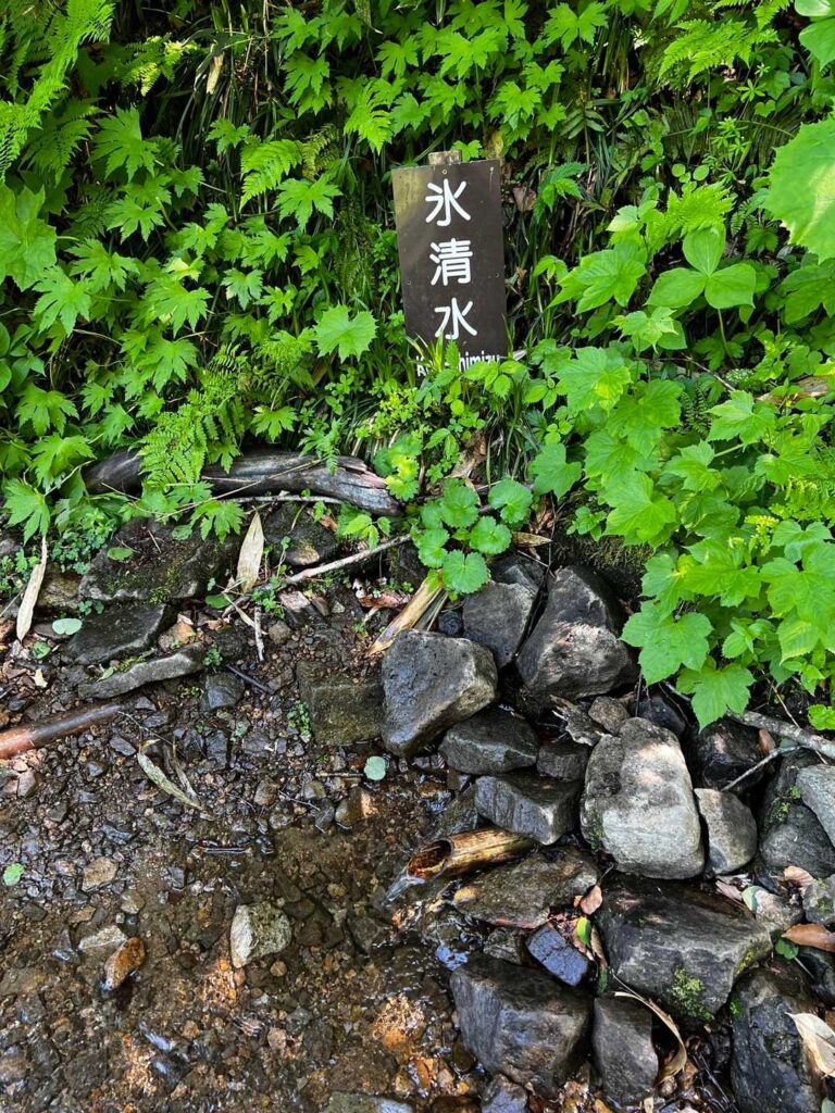 沢の水場で水分補給