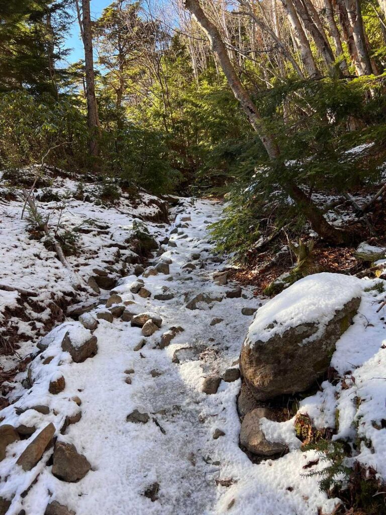 小屋から夏沢方面に少し登ると