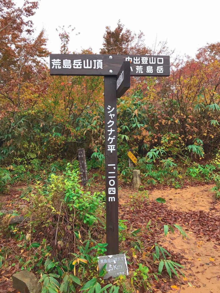 シャクナゲ平の道標