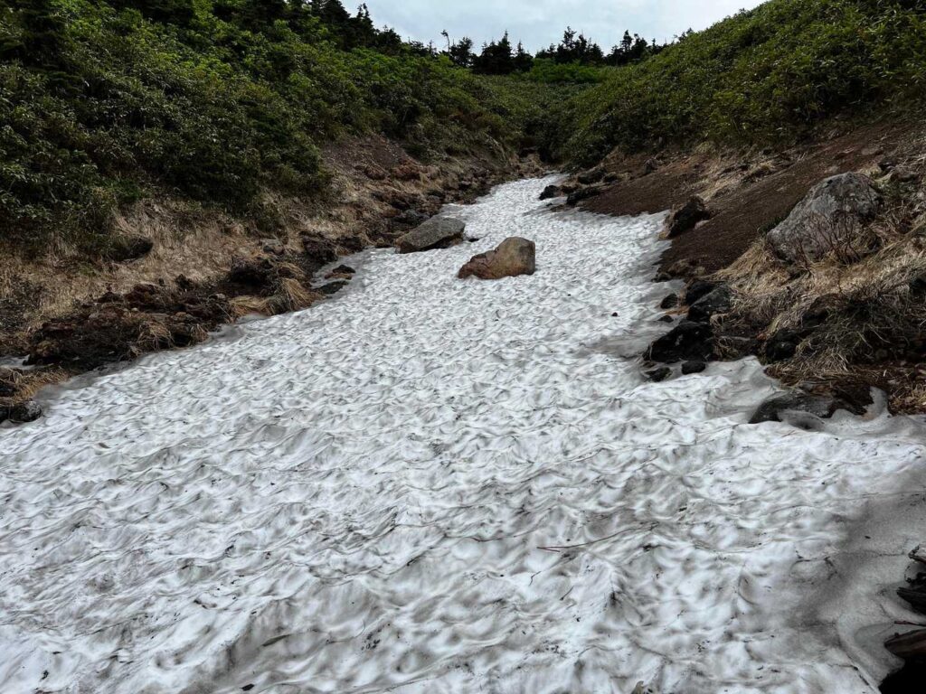 下山途中の雪渓