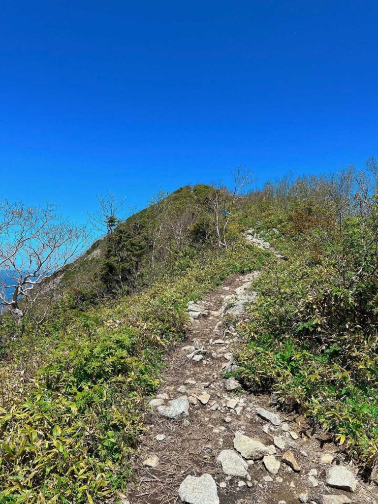 山頂への最後の登り