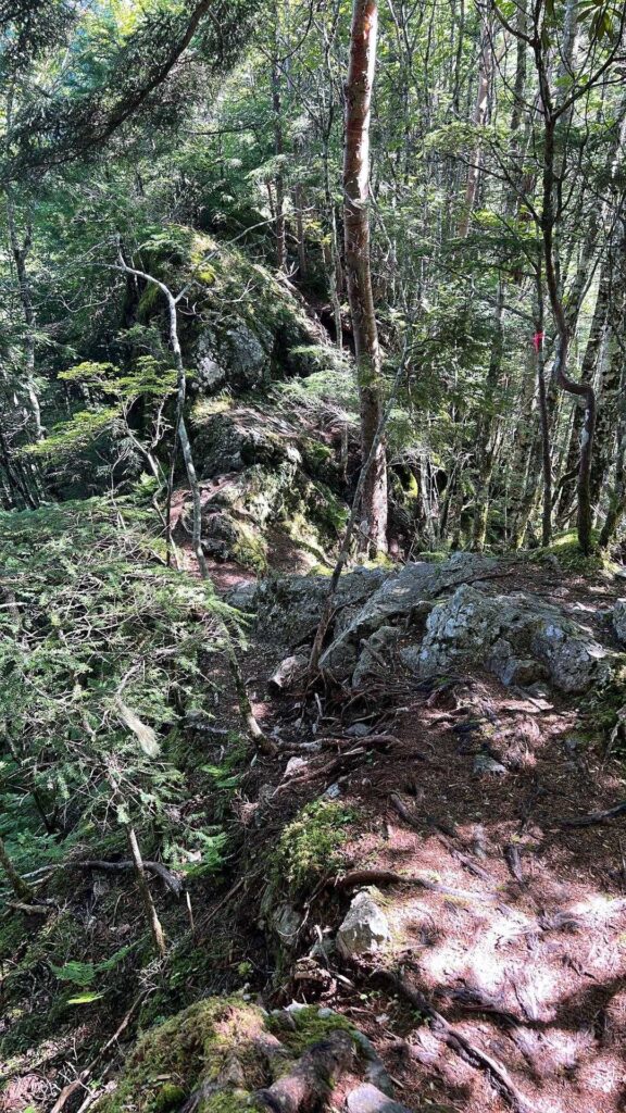 山頂手前の稜線