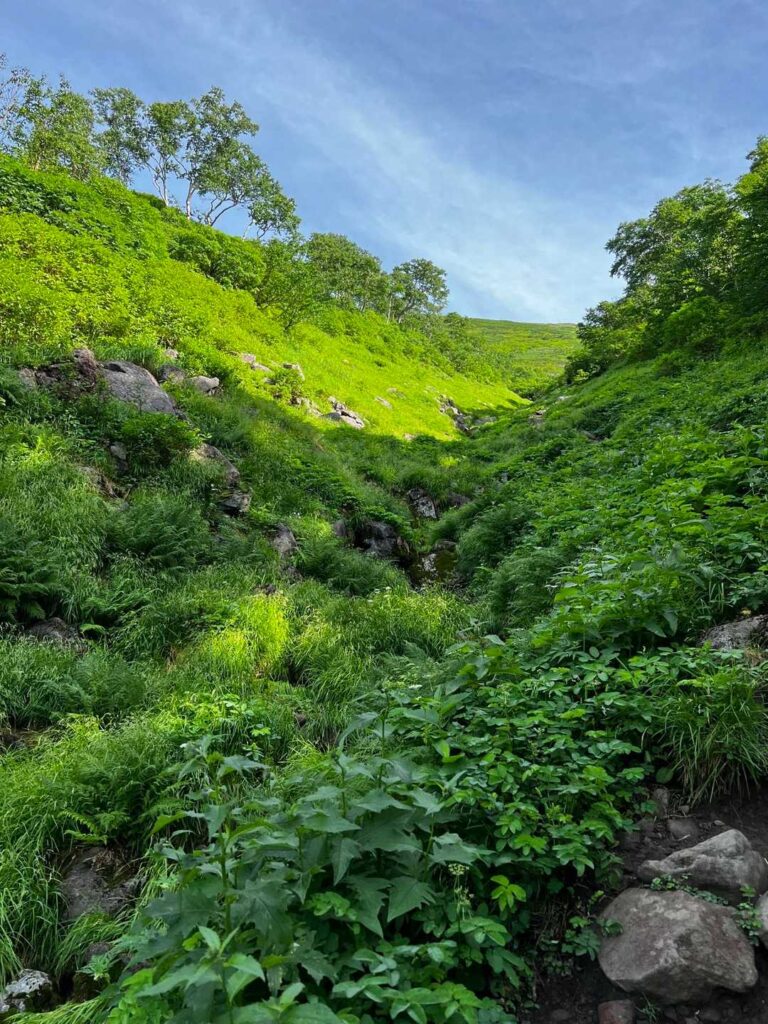 朝の日陰の中を進む
