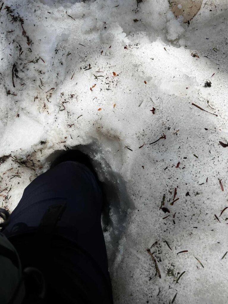 膝まで踏み抜いた雪