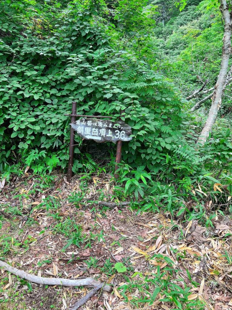 沢登りルートの入口にある標識