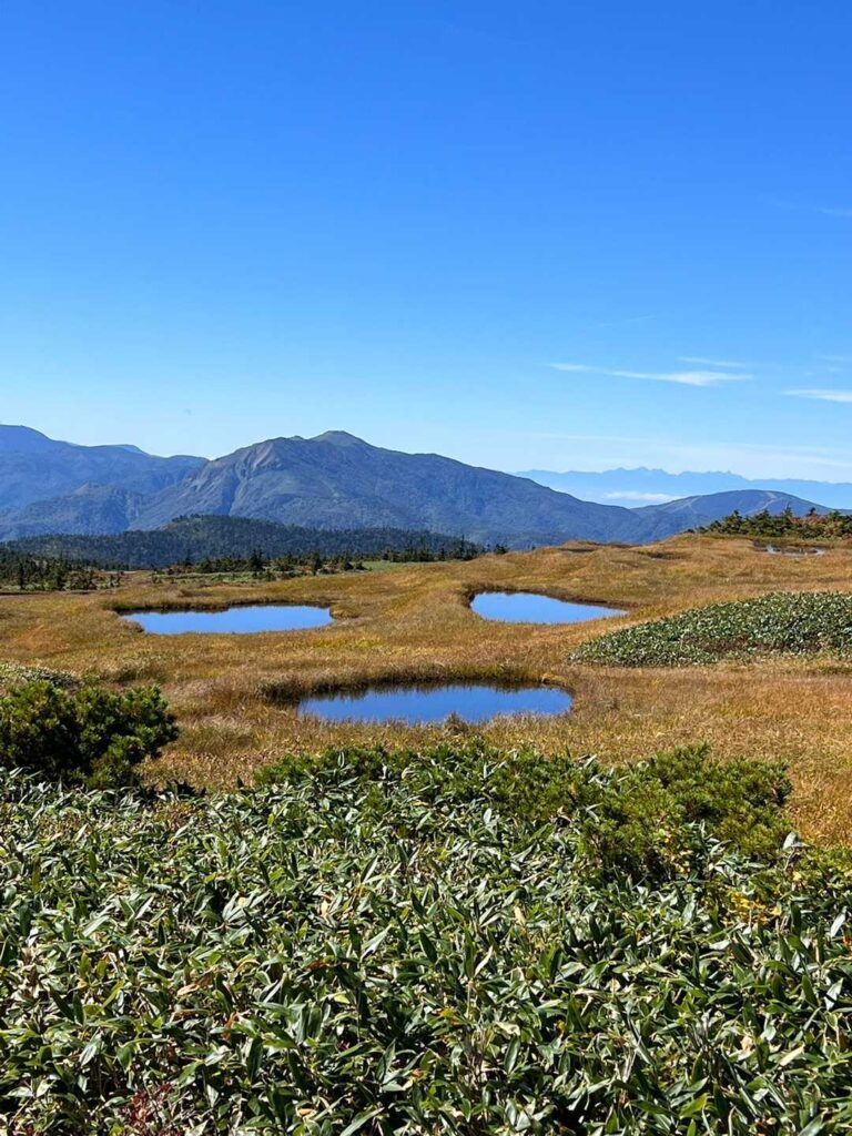 池塘が顔に見える