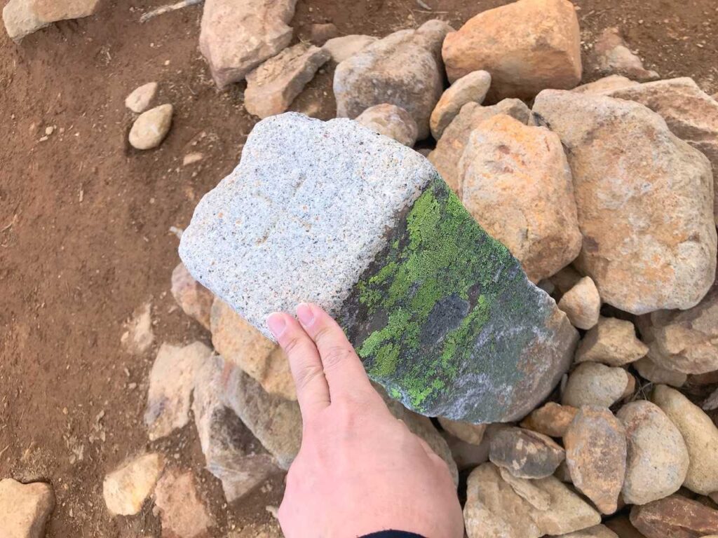 西天狗岳・山頂ポーズ