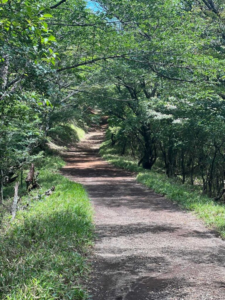 帰りも 影があって 少し涼しく⁉️