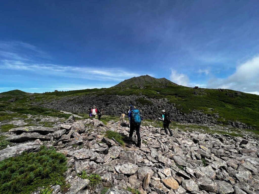 巨岩と高山植物の自然美