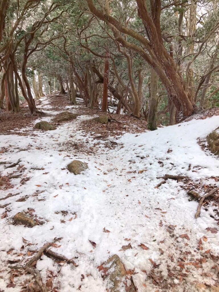 登山道に雪が見え始めた