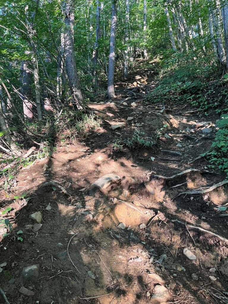 急登の登山道
