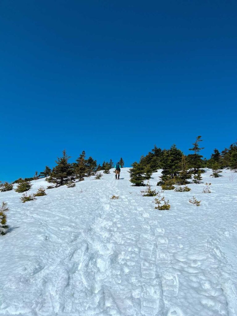 急斜面をスノーシューで登る