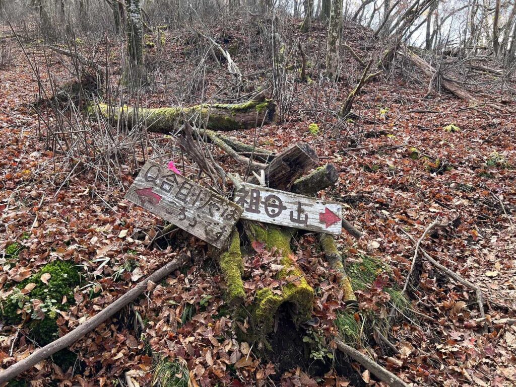 山頂手前の定番アングル