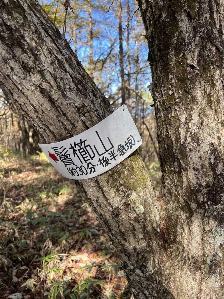 次は鬢櫛山に 後半急坂って何だよ⁉️